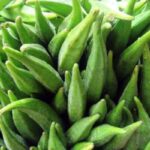 কোন সব অসুখে ঢেঁড়স ঔষধের মতো কাজ করে।