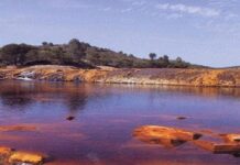 যে ১৫ টি অদ্ভুত কিন্তু সত্যি তথ্য আজও আপনার অজানা