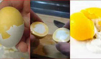 শিখে নিন উল্টো ডিম সেদ্ধ করার কৌশল