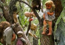 দ্বীপটির নাম পুতুল দ্বীপ এই দ্বীপটিকে ঘিরে যেমনই রয়েছে রহস্য, তেমনই রয়েছে ভয় ।