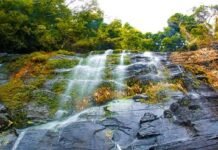 কোনো বিদেশ নয় এগুলো বাংলাদেশেই