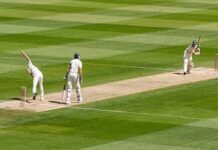 ক্রিকেট নিয়ে কিছু মজার তথ্য