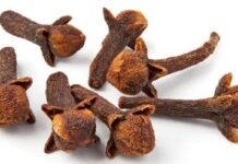 লবঙ্গের কত গুণ